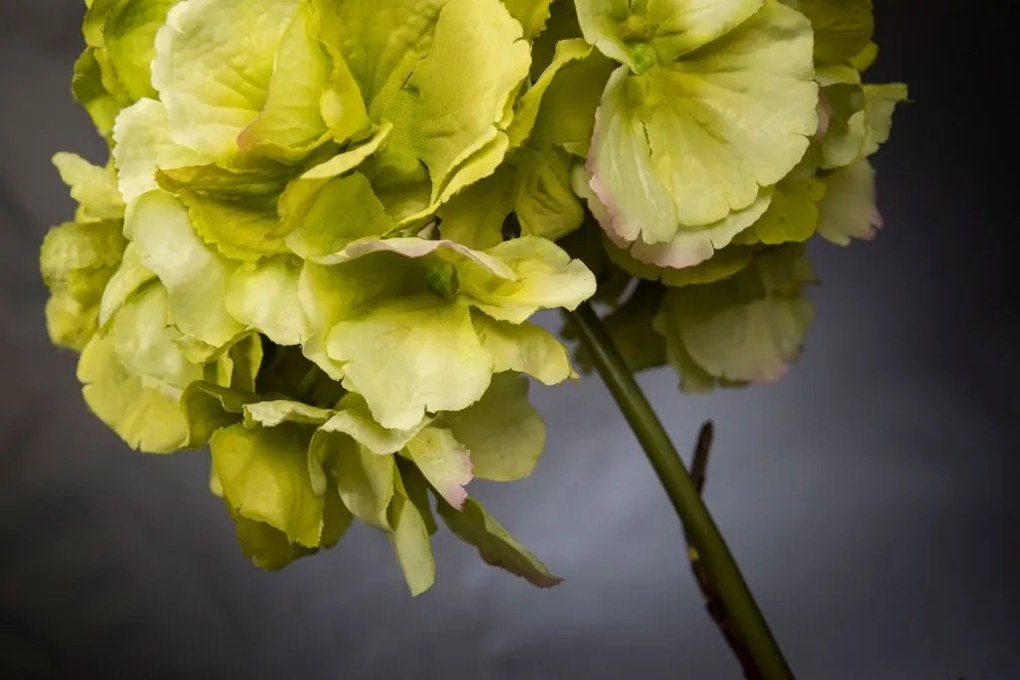 Aranjament floral mic decor festiv design LUX CUBO HYDRANGEA PASTEL GREEN