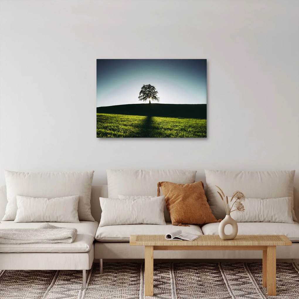 Tablou cu natura - copac (70x50 cm)
