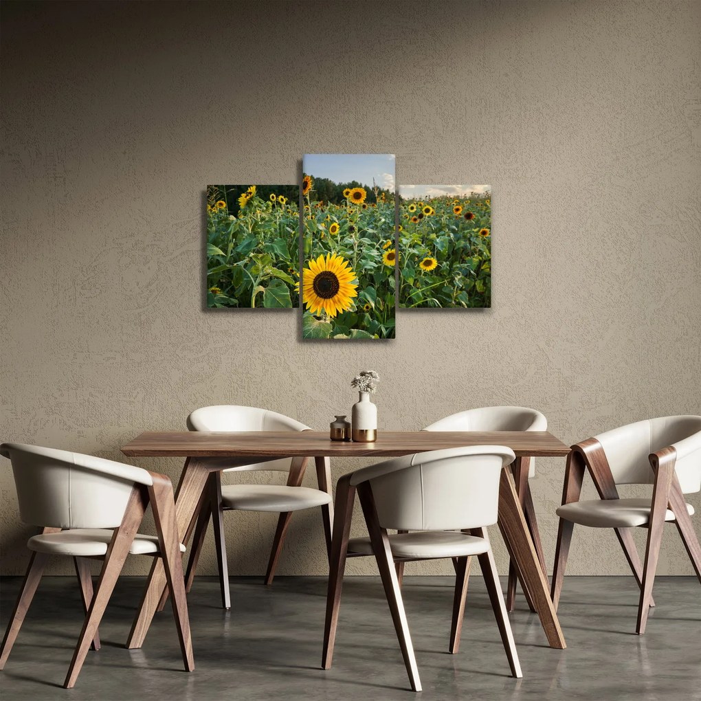 Tablou - Câmpul de floarea-soarelui II. (90x60 cm)