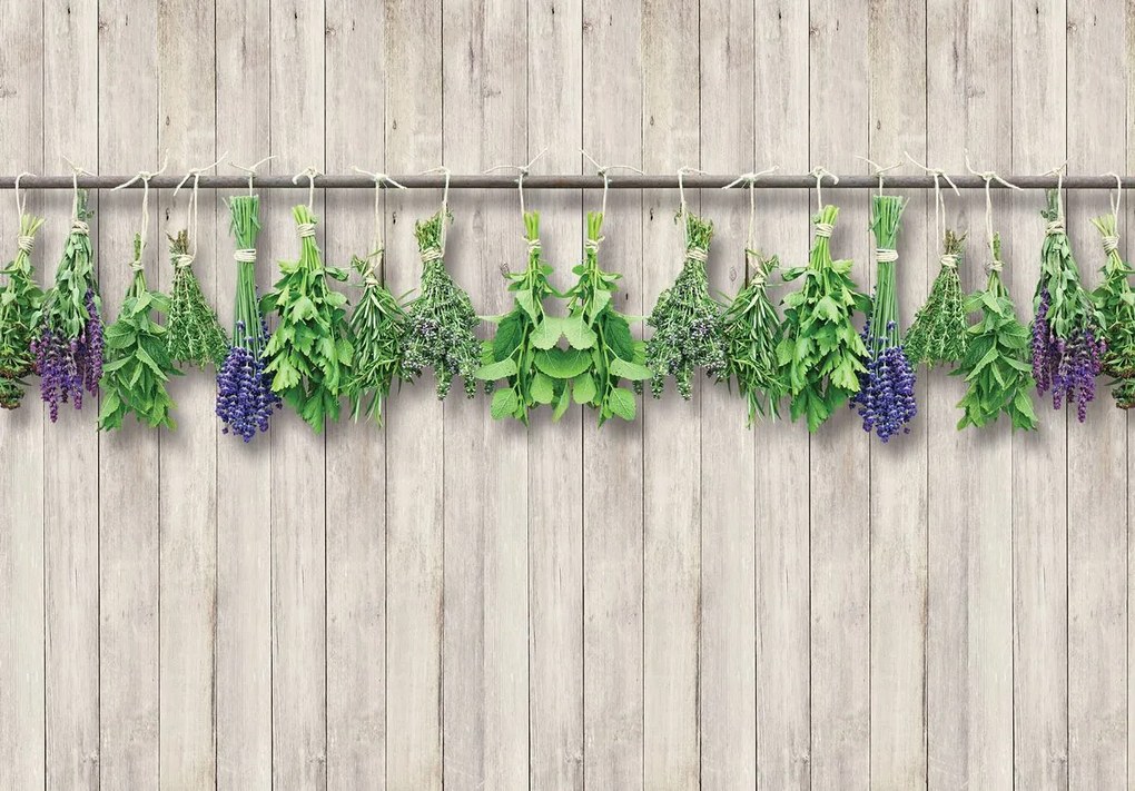 Fototapet - Plante - bej (152,5x104 cm)