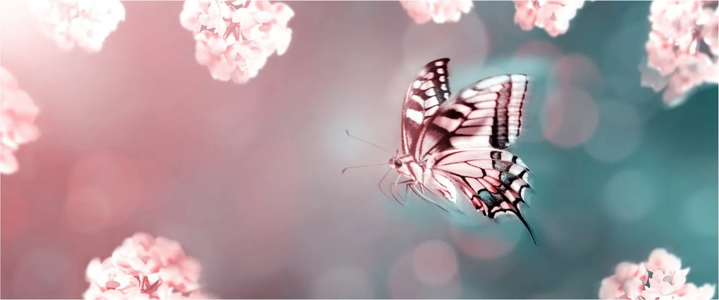 Tablou - Fluture între flori (120x50 cm)