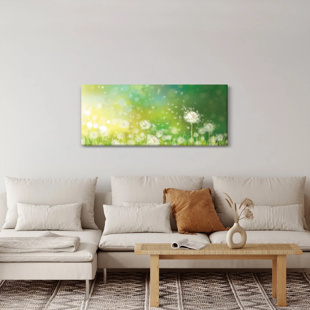 Tablou - Păpădie înflorită (120x50 cm)