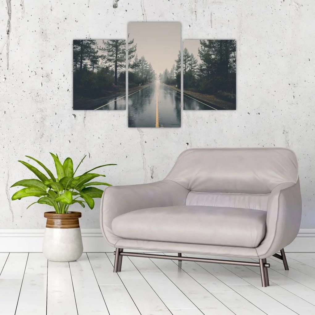 Tablou - Drum în ploaie (90x60 cm)