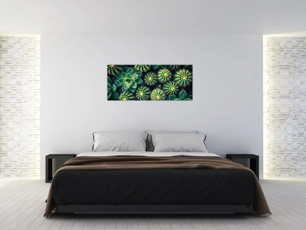 Tablou - Cactuși (120x50 cm)
