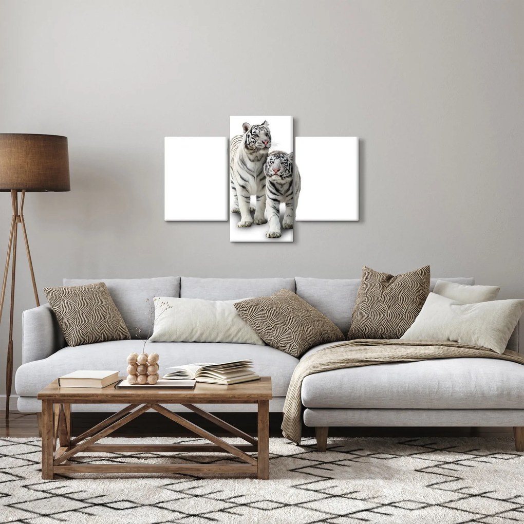 Tablou - Tigrul alb (90x60 cm)