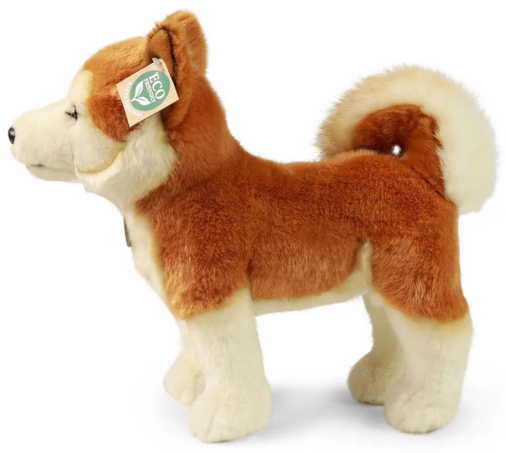Rappa Câine de pluș Akita Inu 30 cm