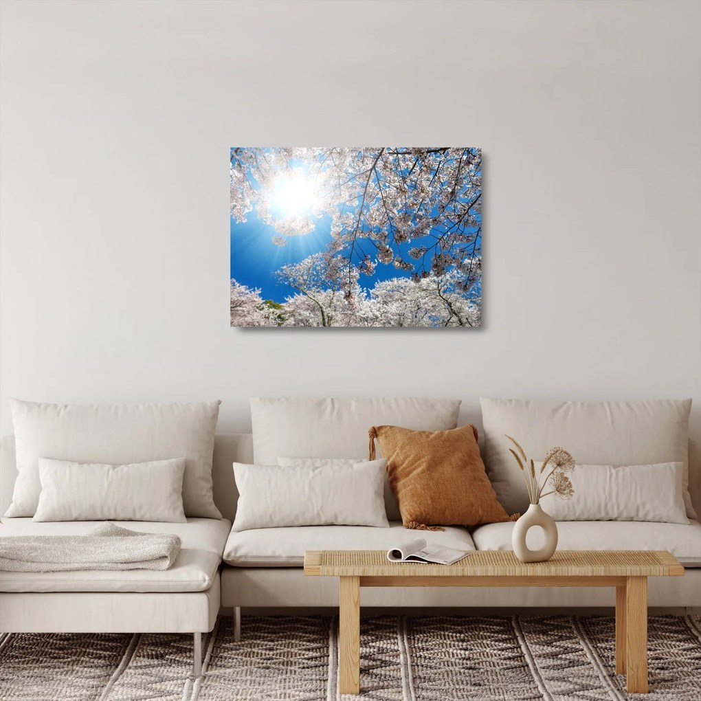 Tablou pe sticlă - Flori de cireș (70x50 cm)