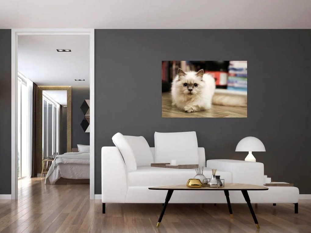 Tablou cu pisica albăr (90x60 cm)