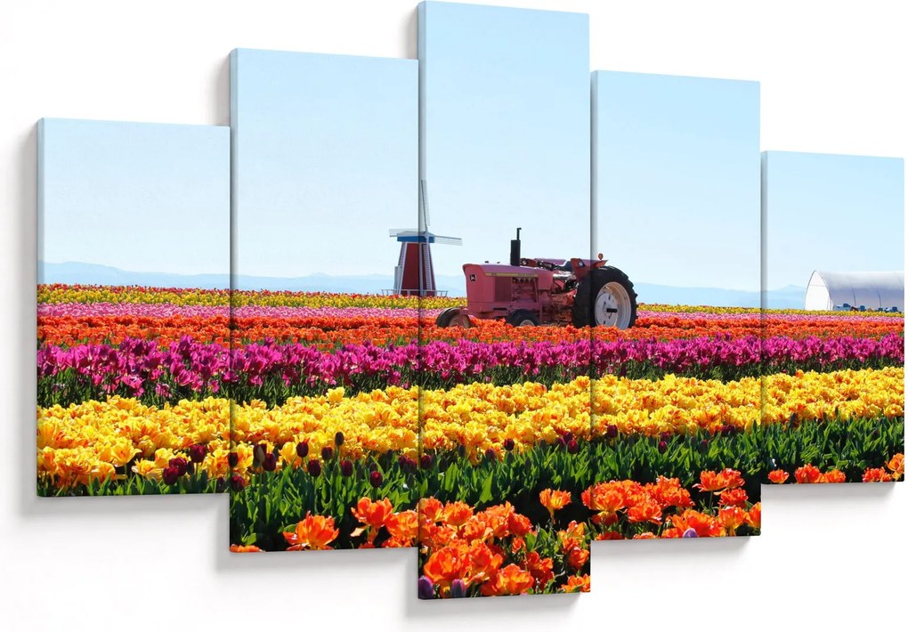 Tablou cu farma de lalele (150x105 cm)