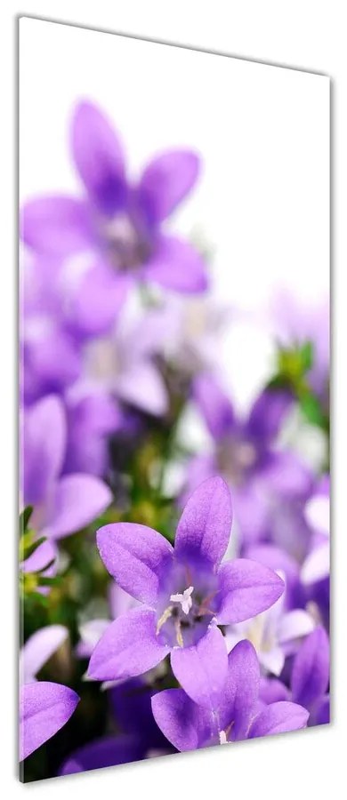 Fotografie imprimată pe sticlă Clopote violet