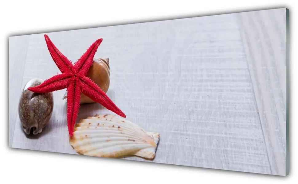 Tablou pe sticla Starfish Shell Art Roșu Bej Maro Gri