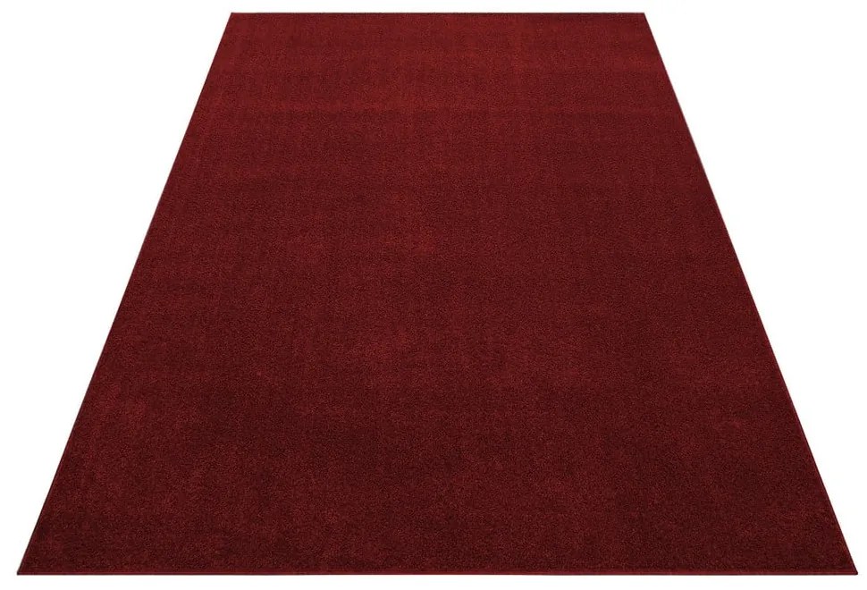 Covor burgundy 120x170 cm Ata – Ayyildiz Carpets