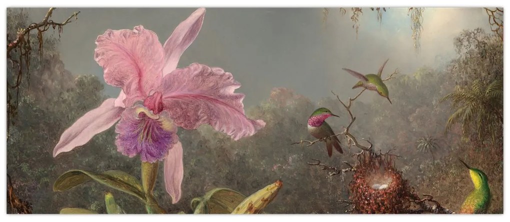 Tablou - Martin Johnson Heade, Cattleya Orchid and Three Hummingbirds, reproducere (120x50 cm)
