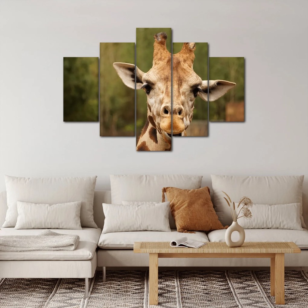 Tablou girafe (150x105 cm)