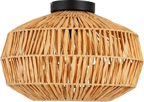 Eglo 44142 - Plafonieră SHELDON 1xE27/40W/230V, maro