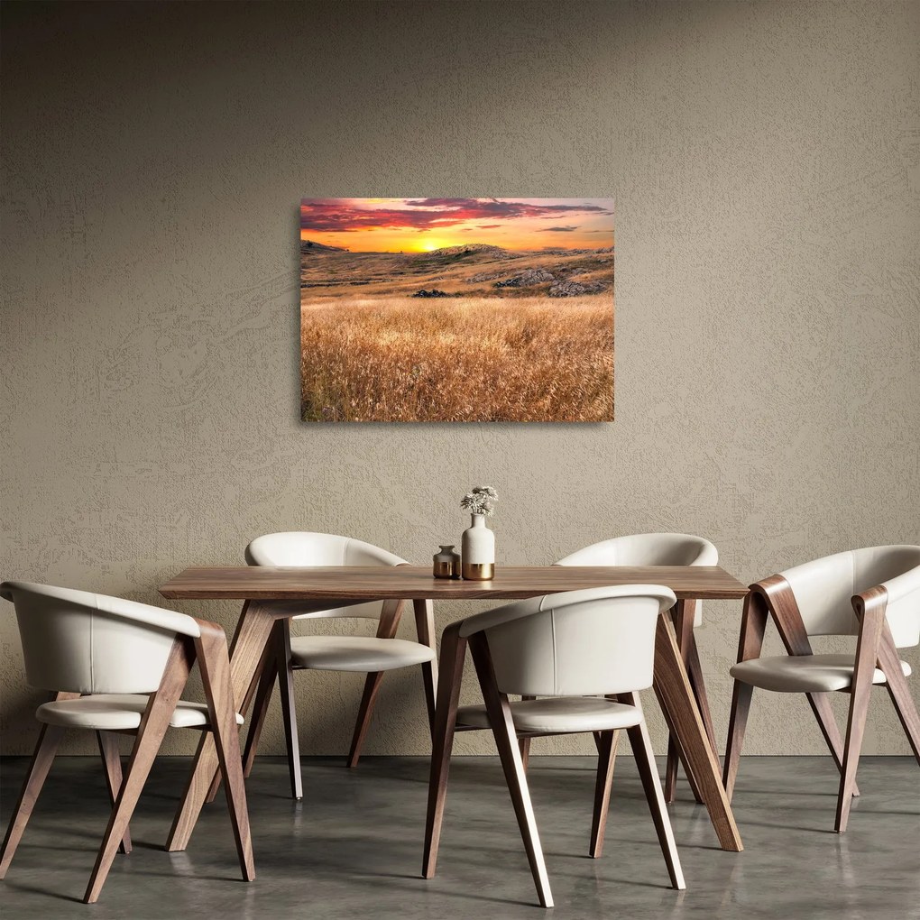 Tablou pe sticlă cu câmp (70x50 cm)