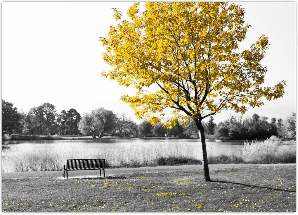 Tablou - relaxare în parc (70x50 cm)