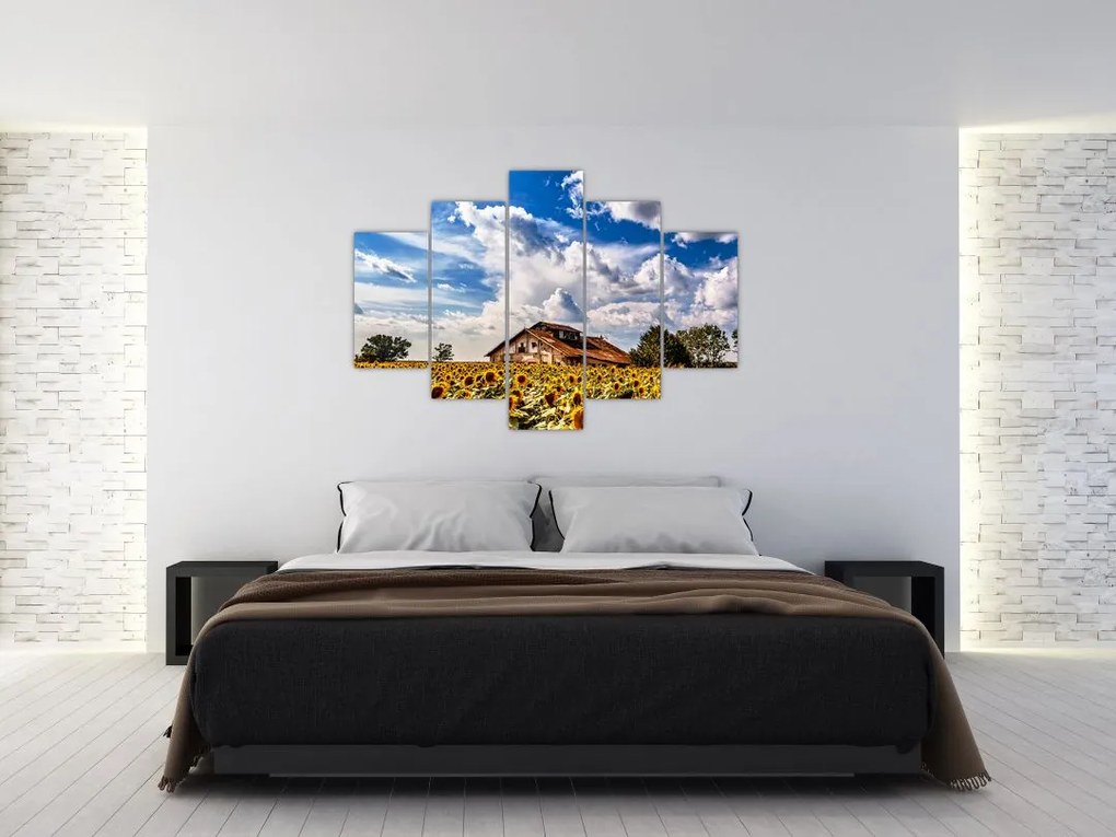 Tablou cu câmp de floarea soarelui (150x105 cm)