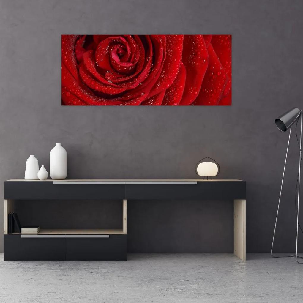 Tablou - detaliu de  trandafir (120x50 cm), în 40 de alte dimensiuni noi