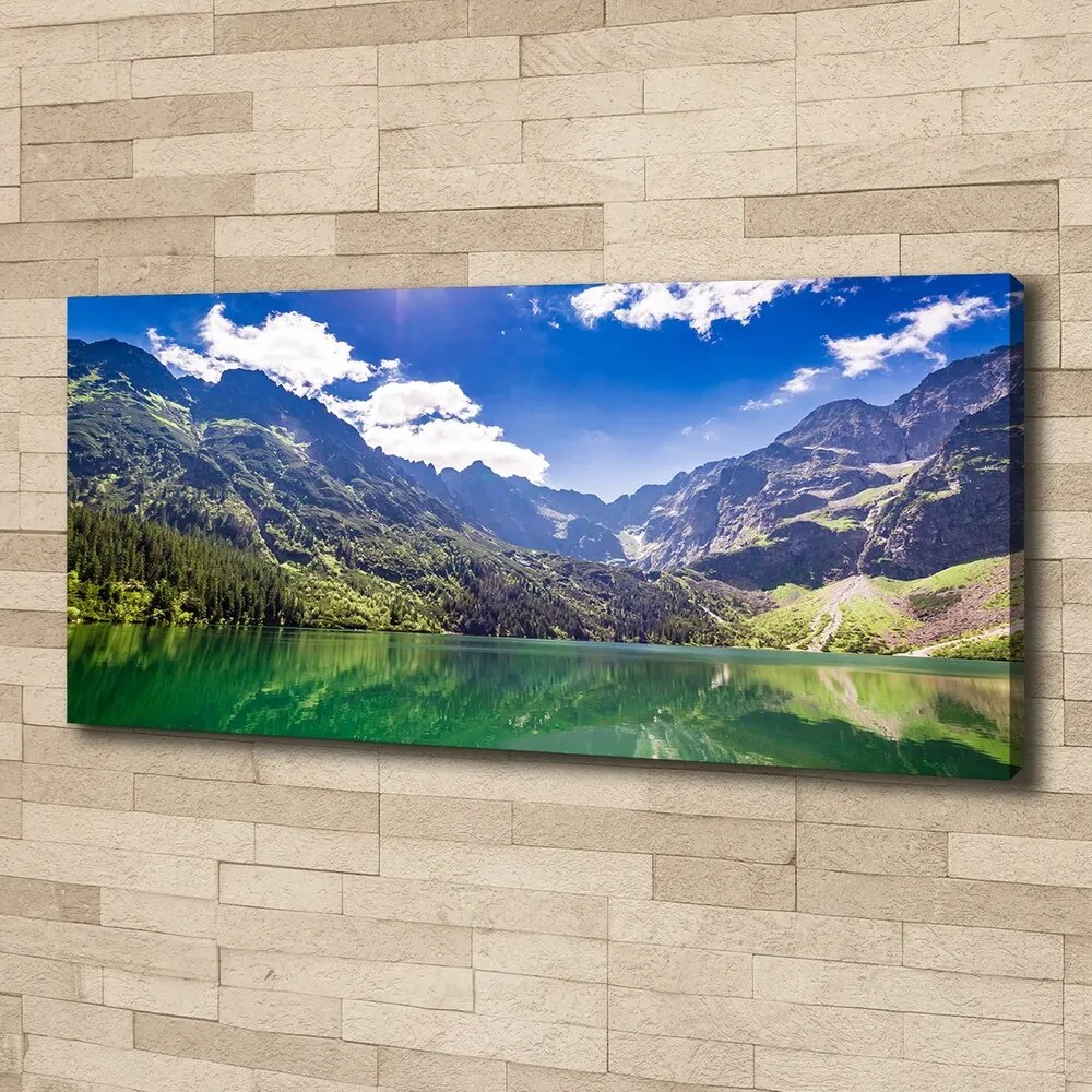 Tablou canvas Marine ochi tatry