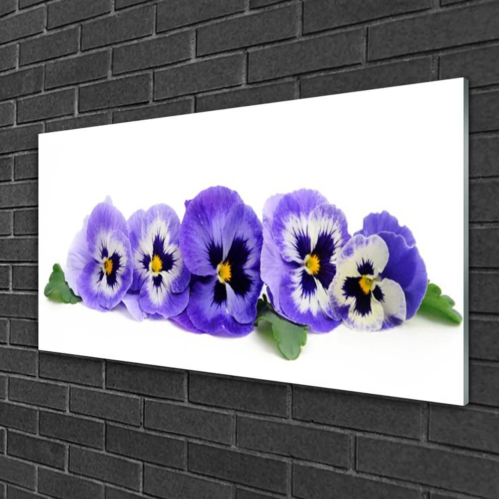 Tablou pe sticla Petale Floral Alb Violet Verde