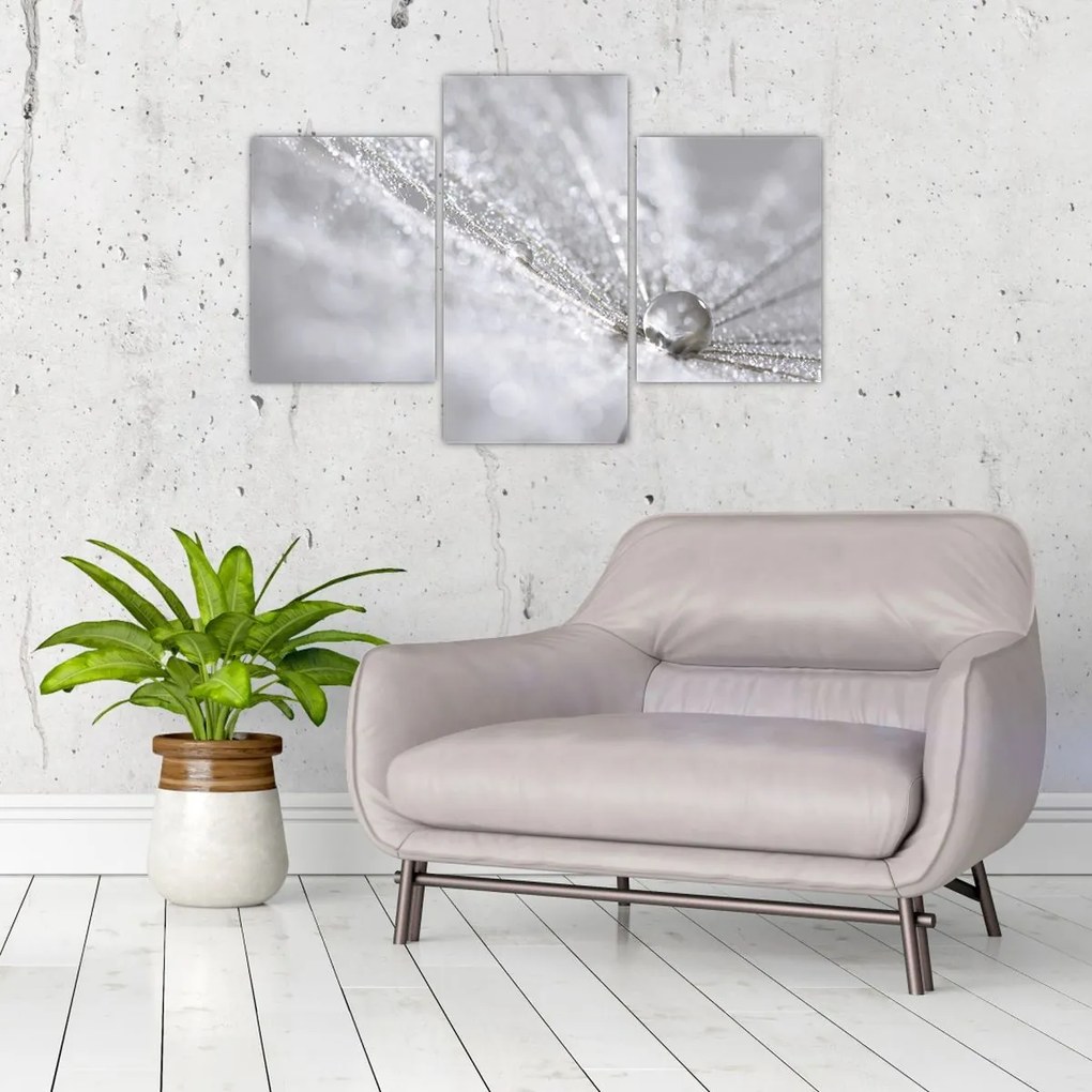 Tablou - Picătură de apă (90x60 cm)