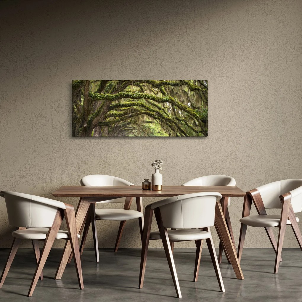 Tablou - Oaks Avenue, Charleston, Carolina de Sud, SUA (120x50 cm)