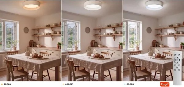 Brilagi - Lampă LED reglabilă smart, mare, pentru tavan 36W/230V 3000-6000K diametru 55 cm albă WT + telecomandă