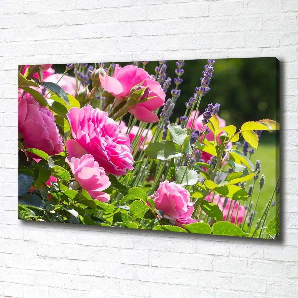 Print pe canvas Trandafir salbatic