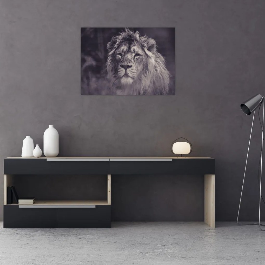 Tablou cu leu (70x50 cm)