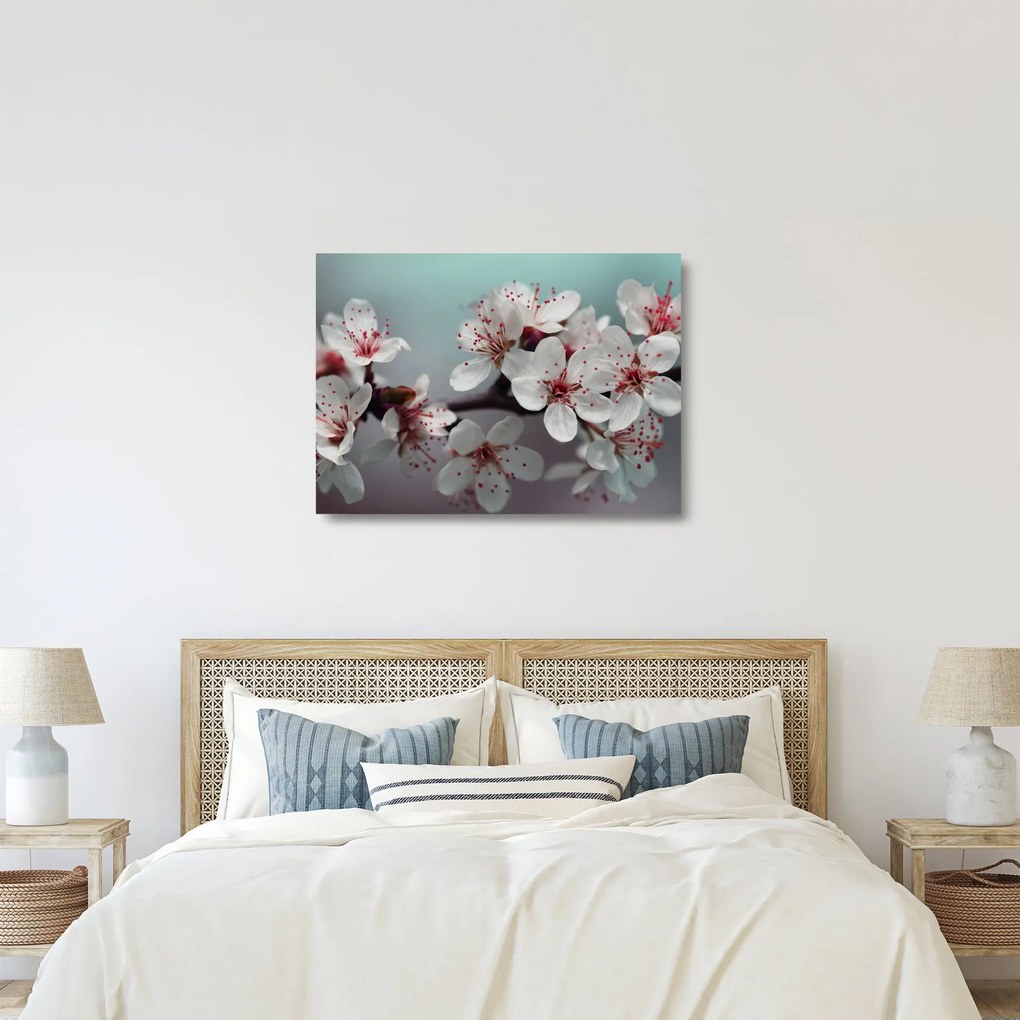 Tablou pe sticlă cu floare - roșie (70x50 cm)
