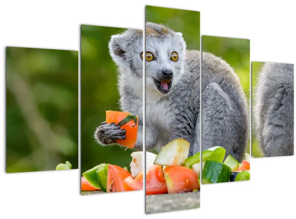 Tablou cu lemur (150x105 cm)