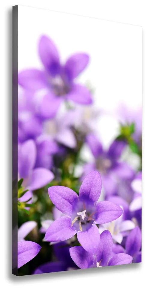 Imprimare tablou canvas Clopote violet