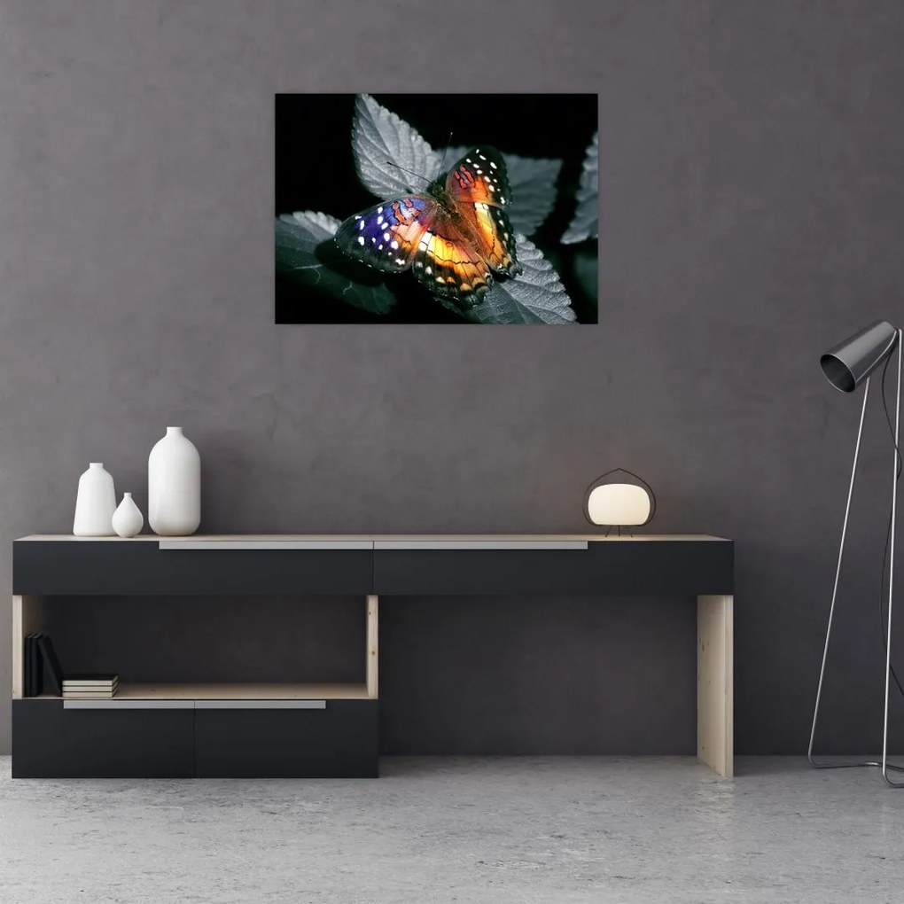 Tablou cu fluture (70x50 cm)