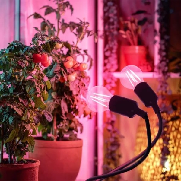 Lampă flexibilă de masă cu clemă pentru creșterea plantelor PLANTY 2xE27/30W/230V negru