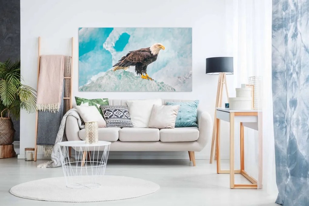 Tablou canvas Vulturul pe gheata - 90x60cm