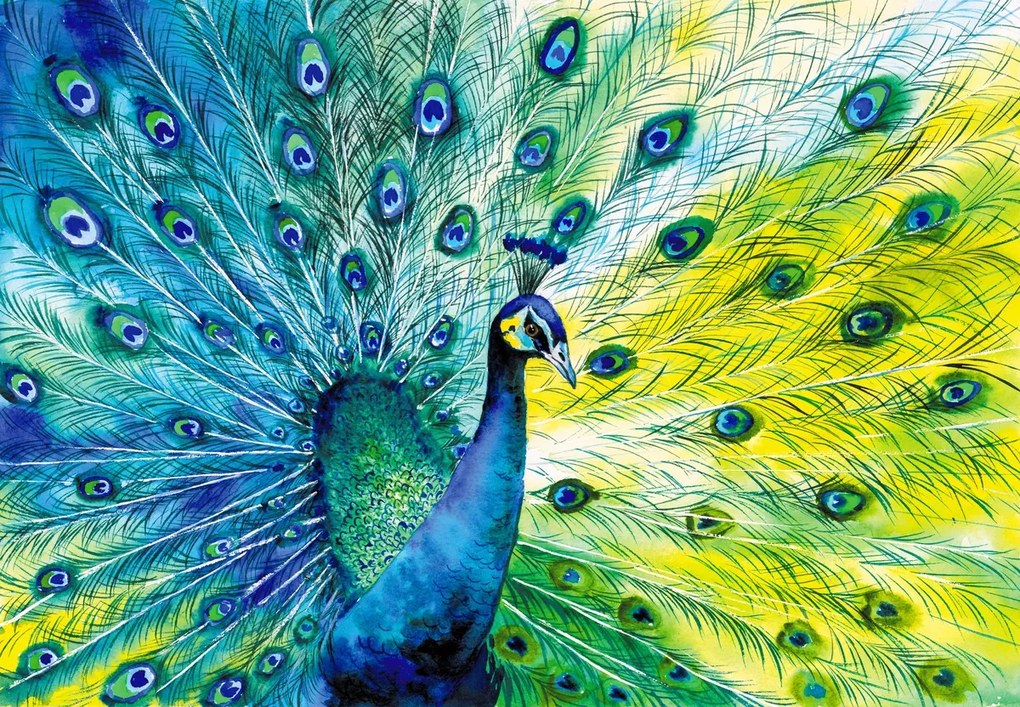 Fototapet - Păun (147x102 cm)