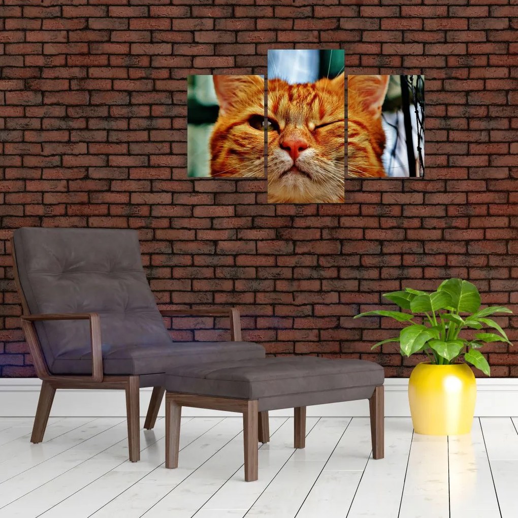 Tablou - Pisica suspicioasă (90x60 cm)