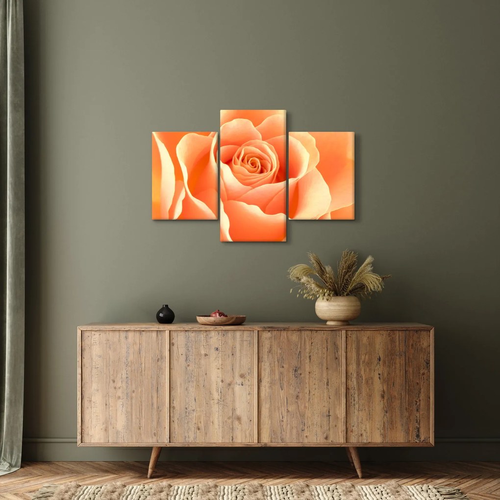 Tablou - Imaginea- Trandafiri, culoarea caisei (90x60 cm)