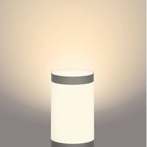 Philips - Lampă LED exterior UTRECHT GARDENLINK LED/6W/12V 2700K IP44