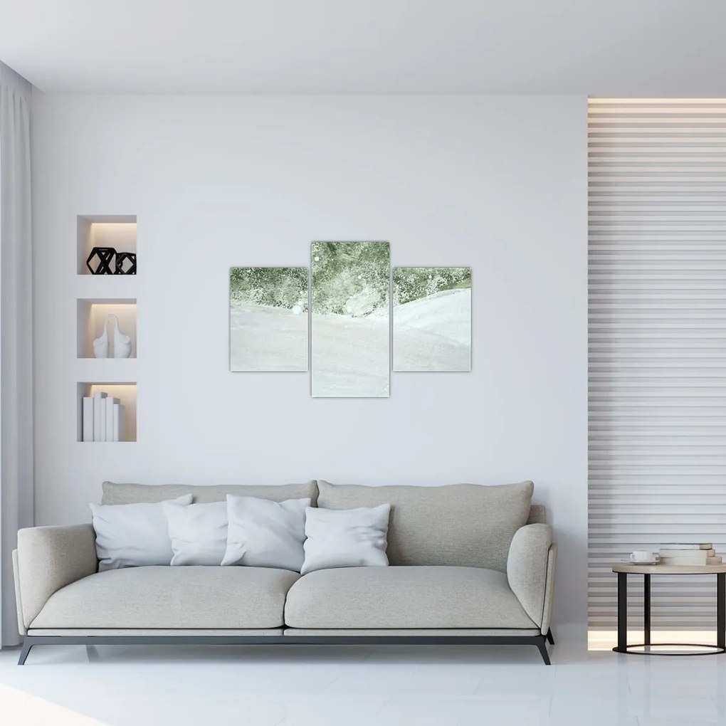 Abstract din pensule (90x60 cm)