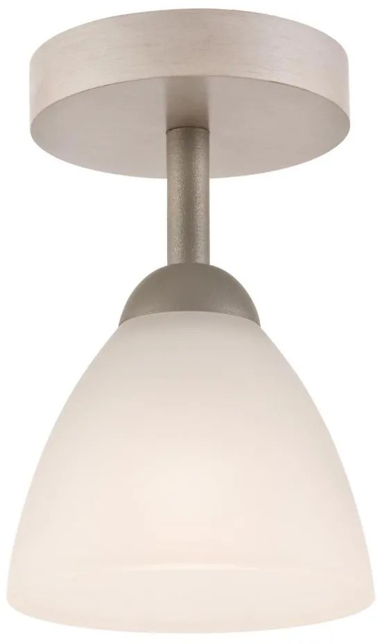 Lustr ADRIANO 1xE27/60W/230V, přisazený model