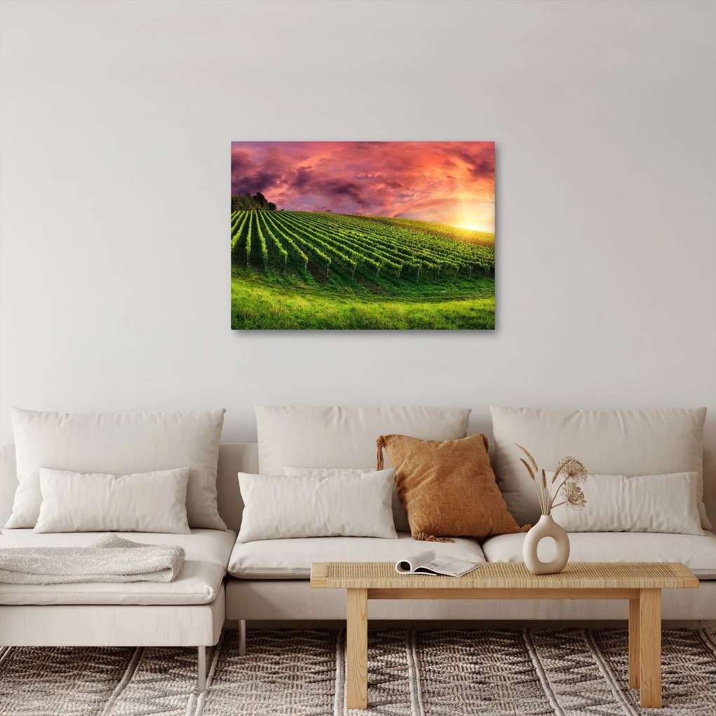 Tablou cu vie cu cerul color (70x50 cm)