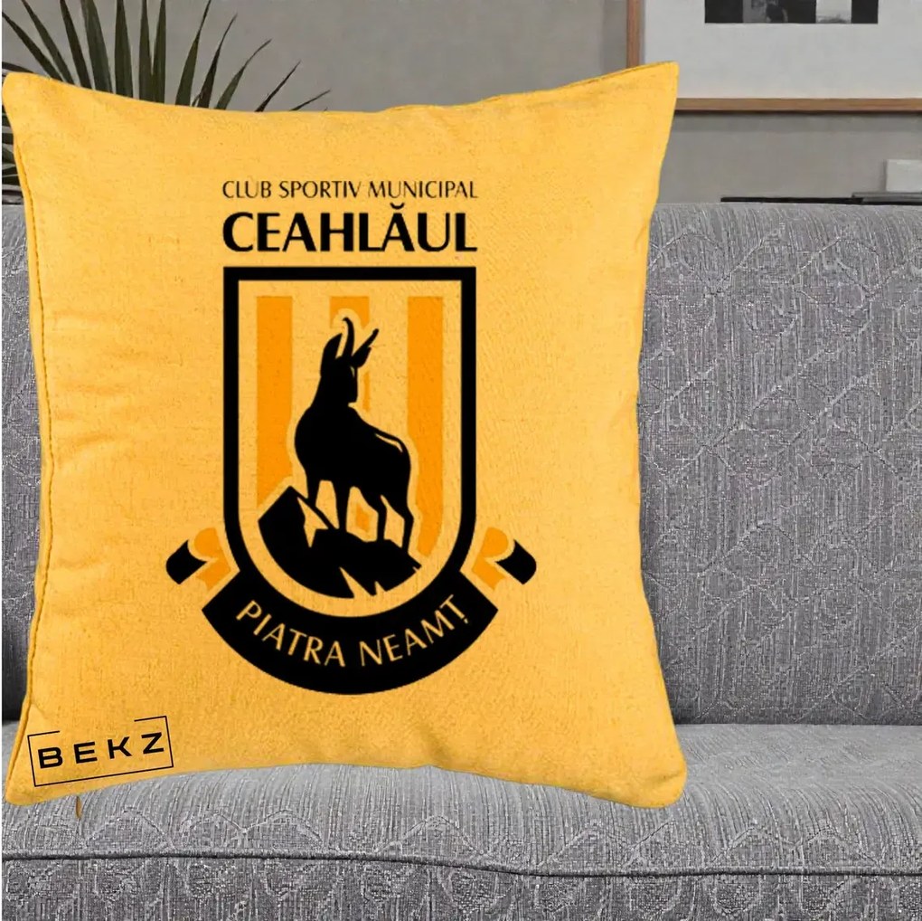 Perna Personalizata CSM Ceahlaul Piatra Neamt Fotbal, 40x40 cm, Galben, Husa Detasabila, Perna Inclusa, BEKZ®