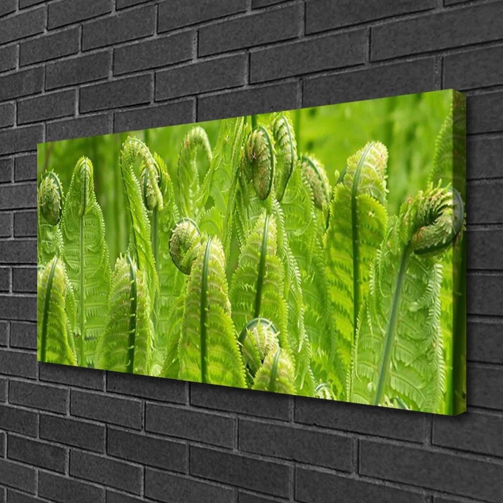 Tablou pe panza canvas Plante Floral Verde