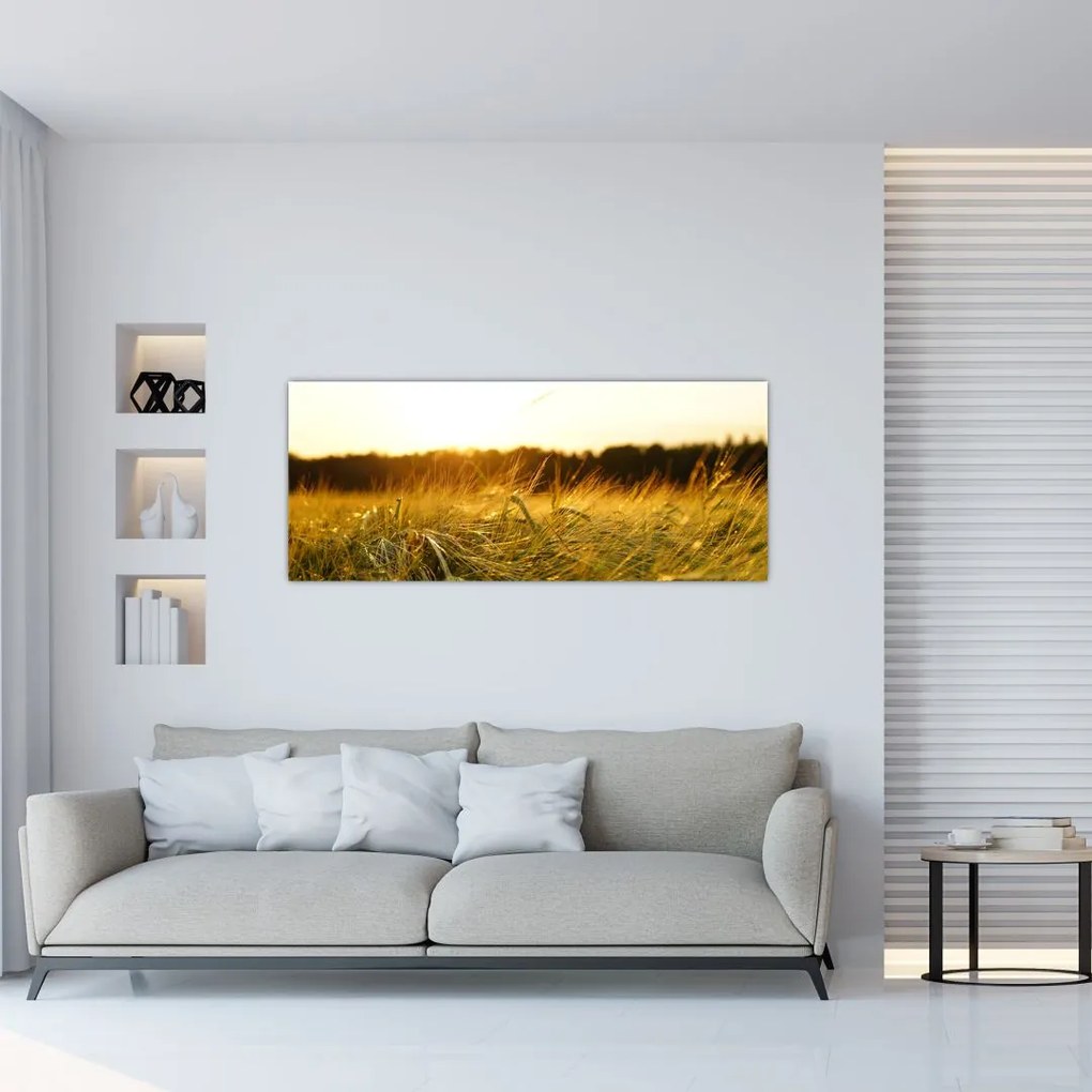 Tablou  iarba cu rouă (120x50 cm), în 40 de alte dimensiuni noi