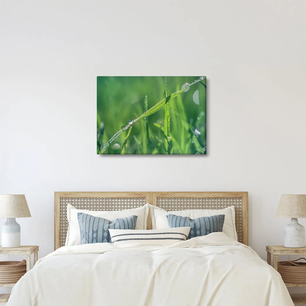 Tablou cu picături de rouă (70x50 cm)