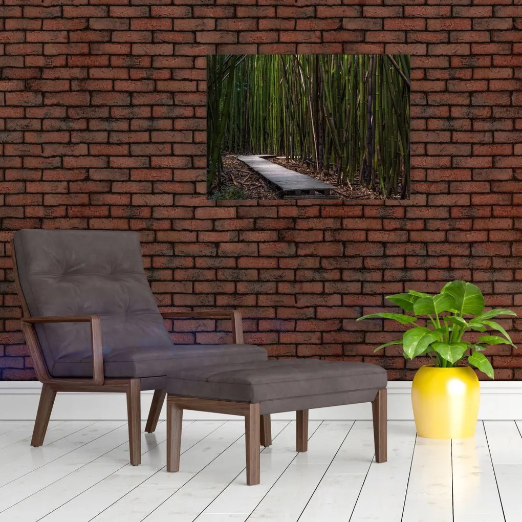 Tablou - Între bambus (70x50 cm)