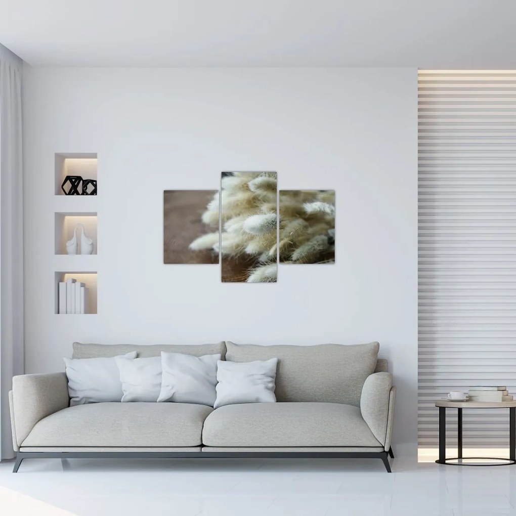 Tablou - Coadă de iepure (90x60 cm)