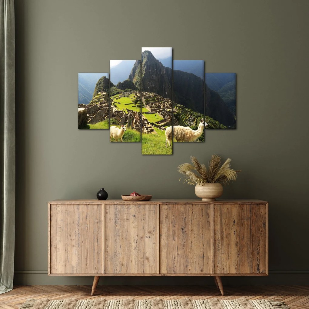 Tablou - Lame in Machu Picchu (150x105 cm)